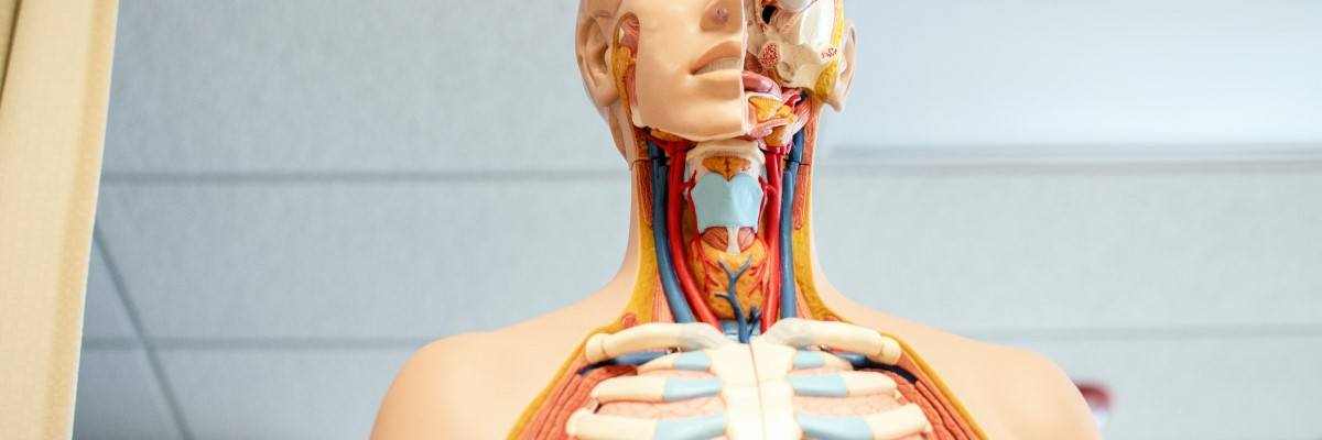 Bästa sättet att bota halsbränna