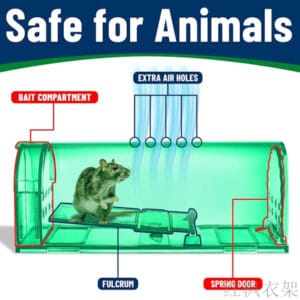 Fånga och släpp råttfälla med rengöringsborste - Säker, återanvändbar liten djurfångare S